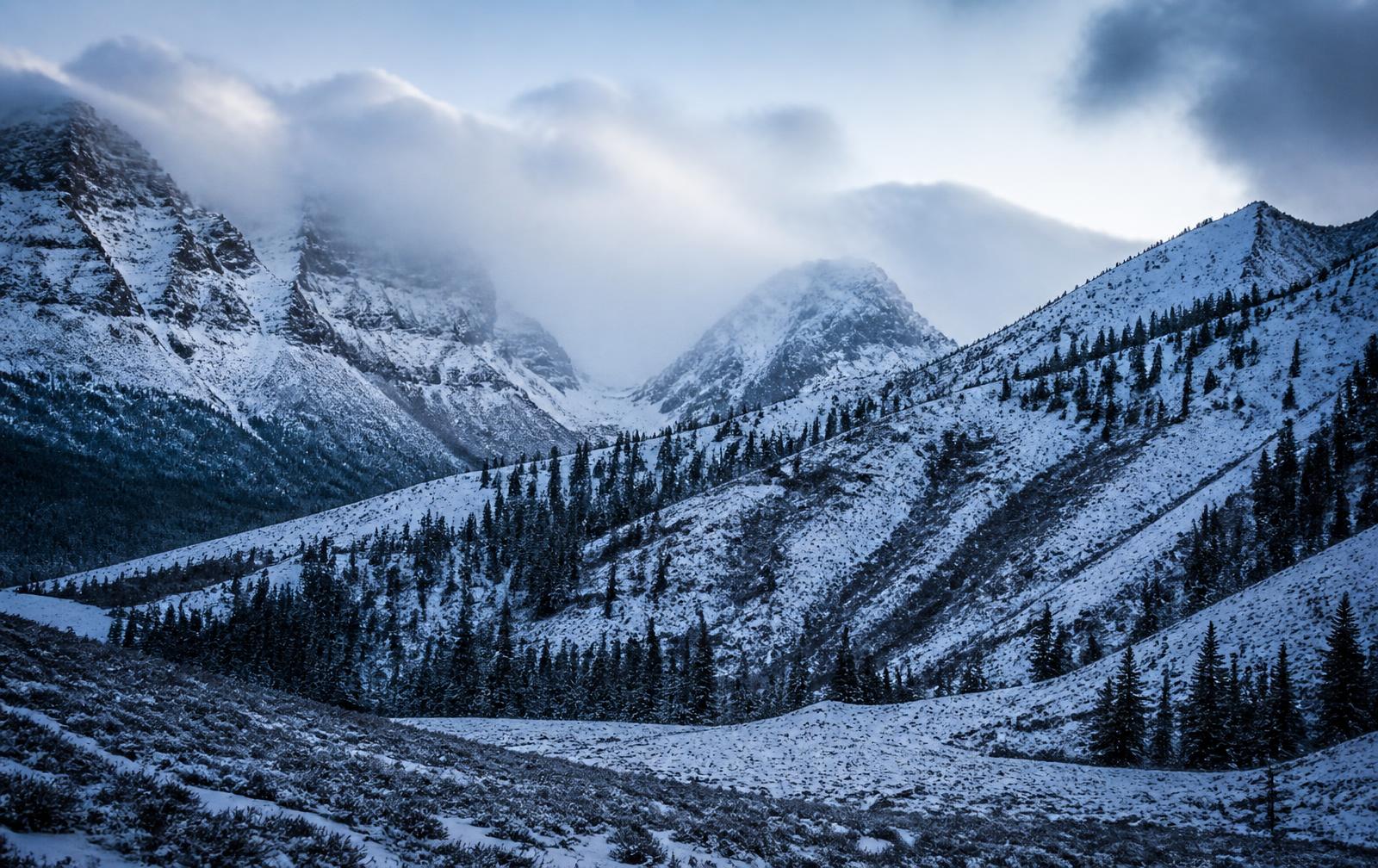 Sundance
